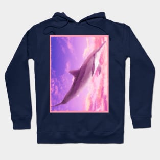 Dolphin in the sky painting Hoodie